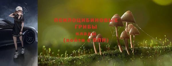 скорость Алзамай