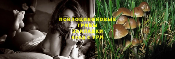 каннабис Алексин
