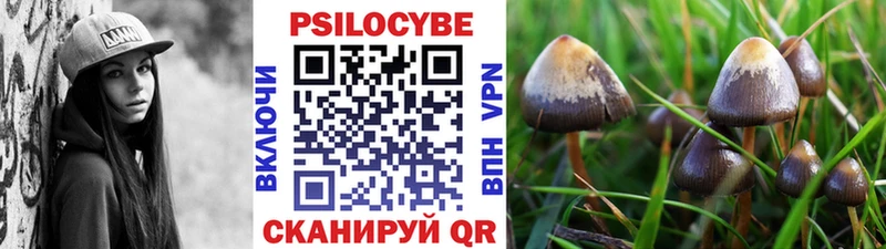 Галлюциногенные грибы мухоморы  Жиздра 